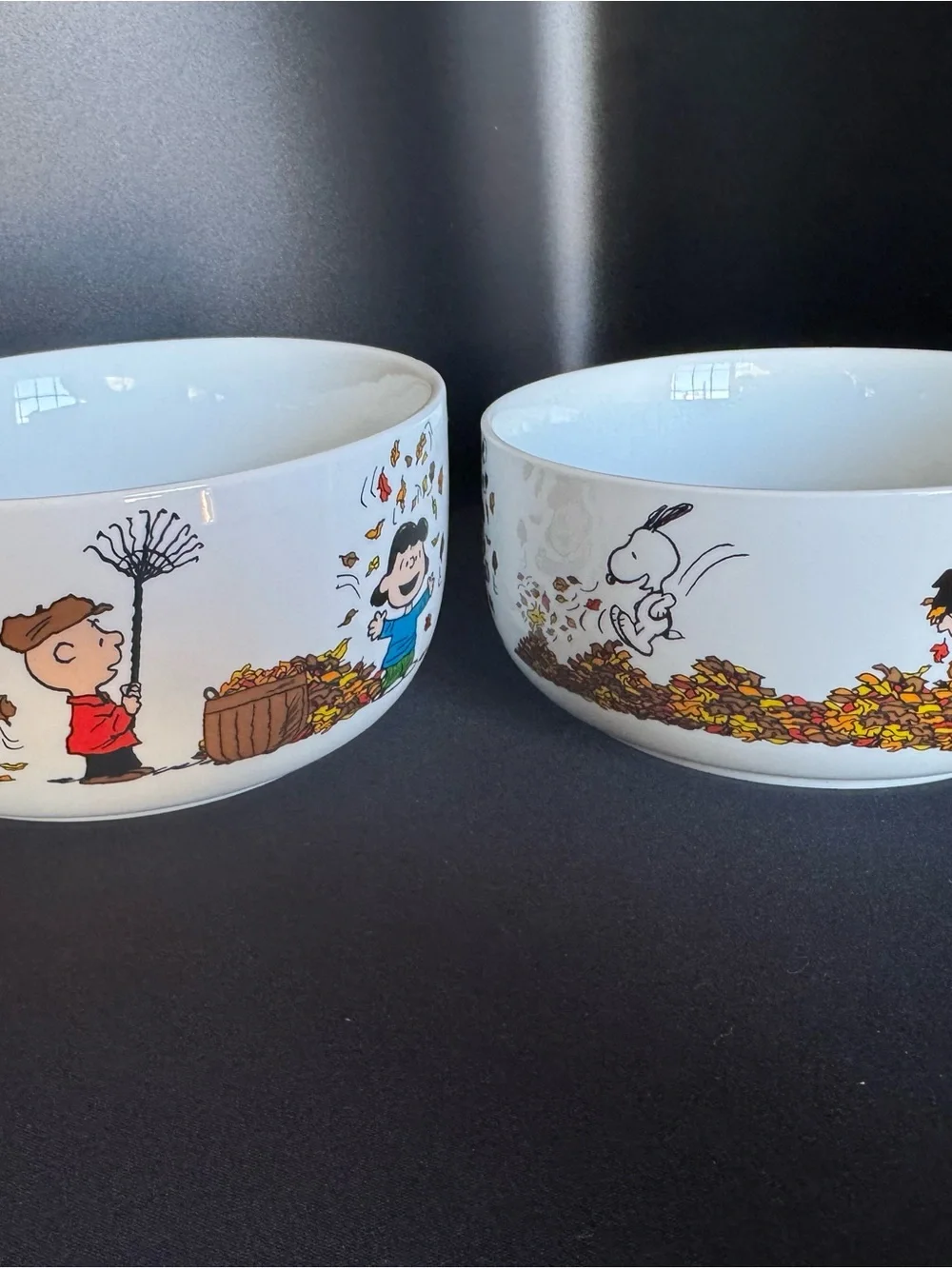 Peanuts Holiday Ceramic Bowls - Fall Leaves Design